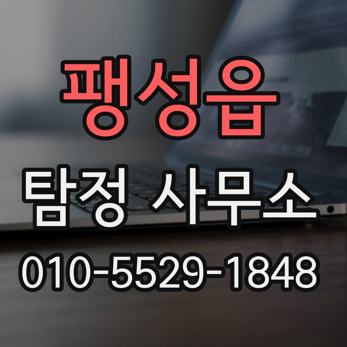 팽성읍 탐정 사무소