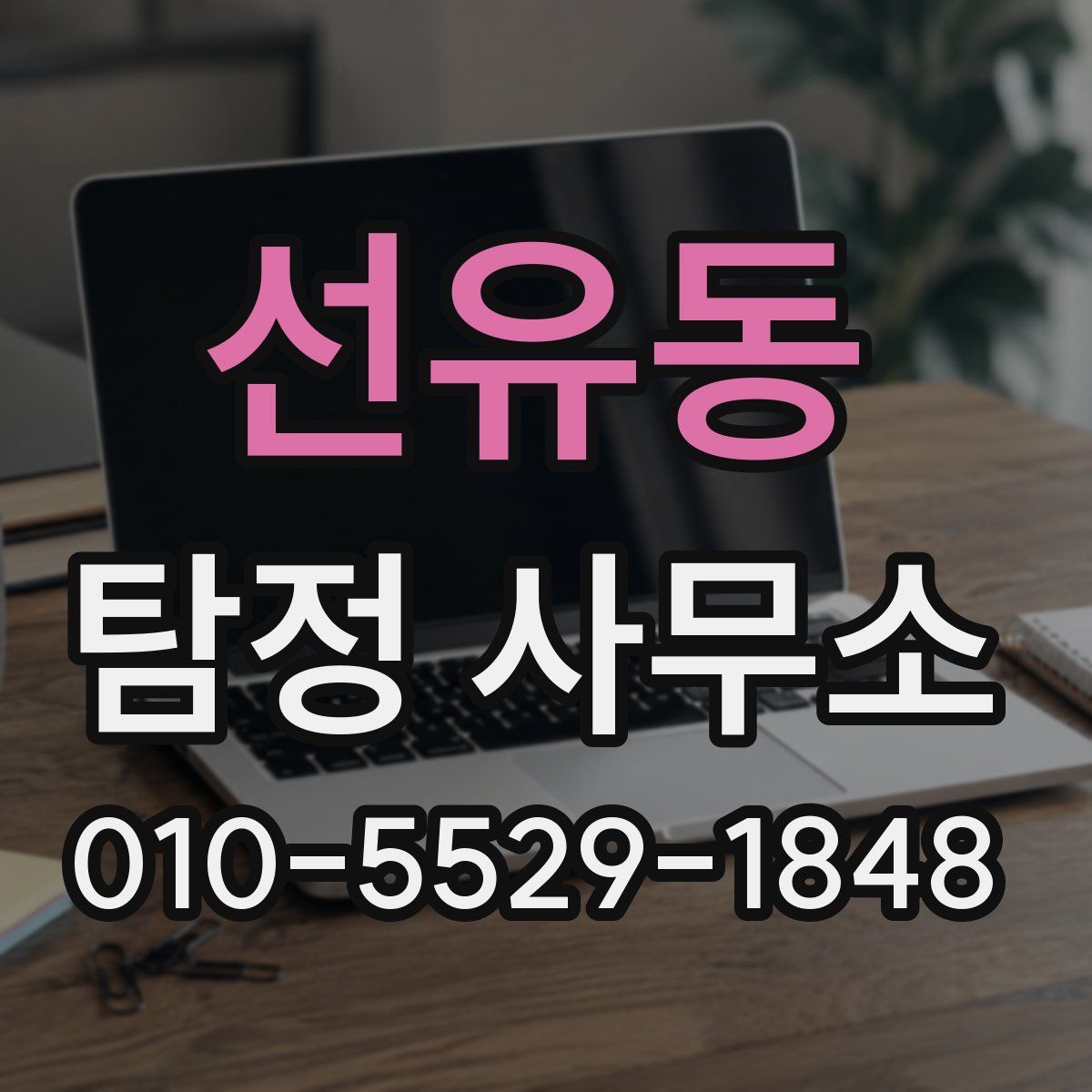 선유동 탐정 사무소