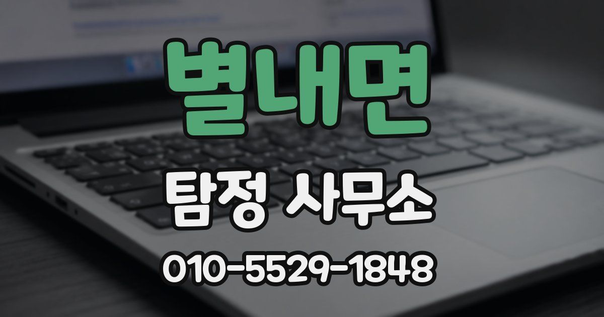 별내면 탐정 사무소
