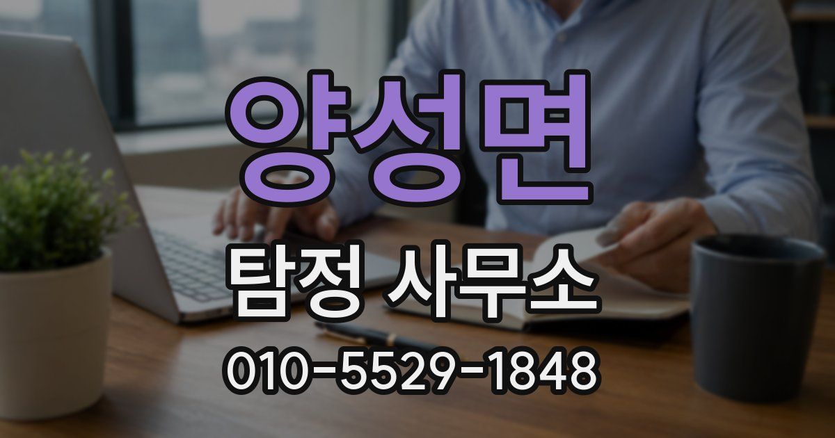 양성면 탐정 사무소
