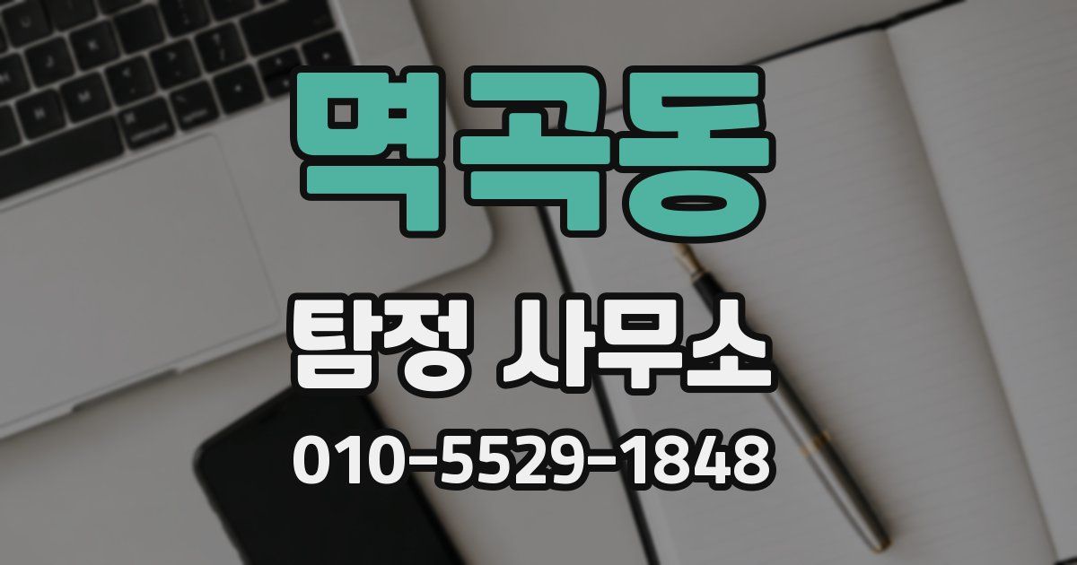 멱곡동 탐정 사무소
