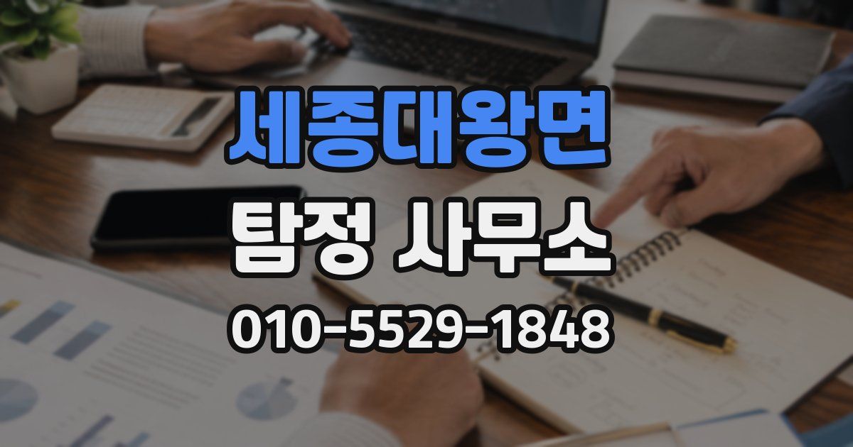 세종대왕면 탐정 사무소