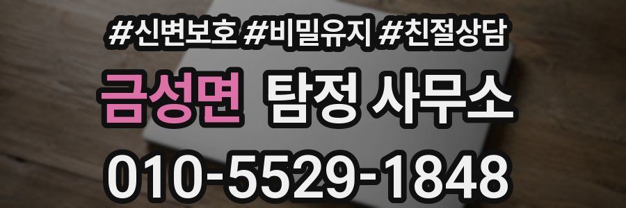 금성면 탐정 사무소