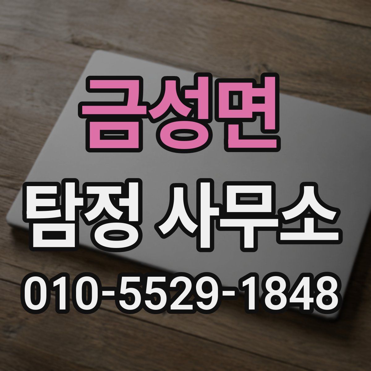 금성면 탐정 사무소
