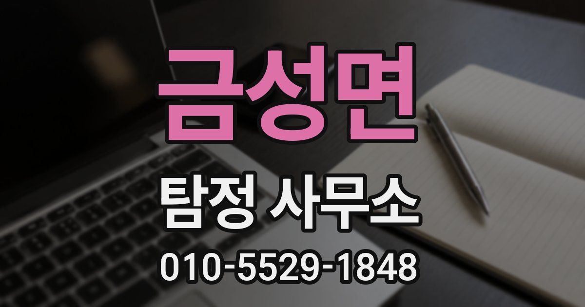 금성면 탐정 사무소
