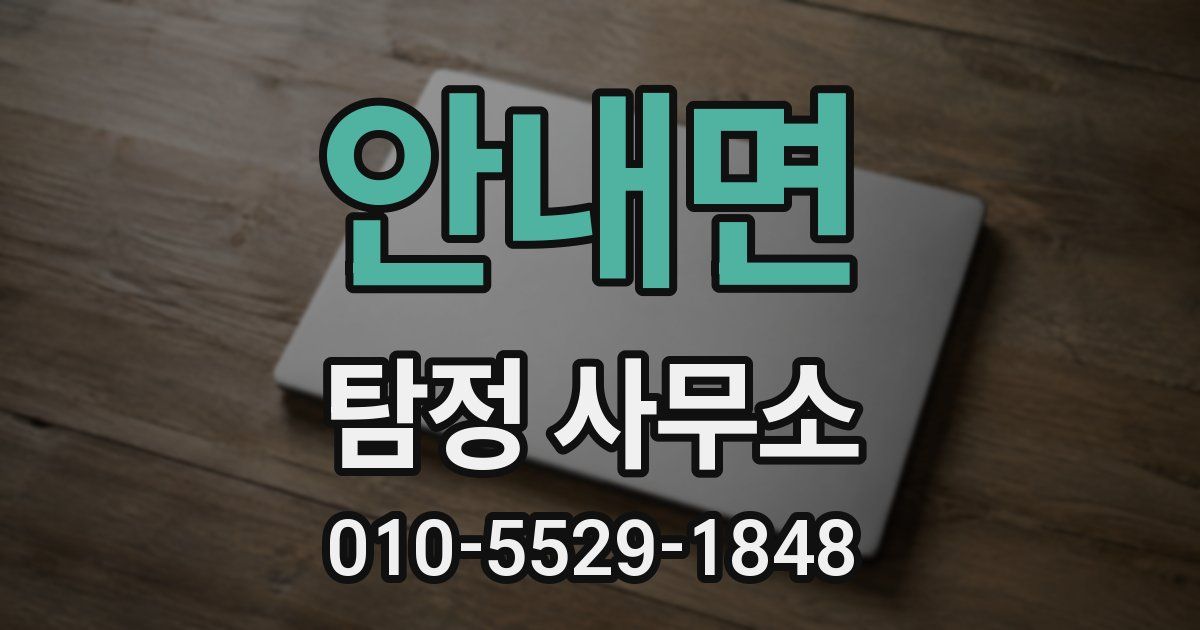 안내면 탐정 사무소