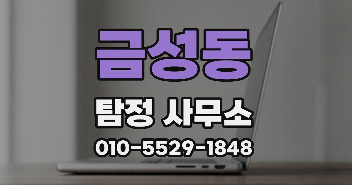 금성동 탐정 사무소
