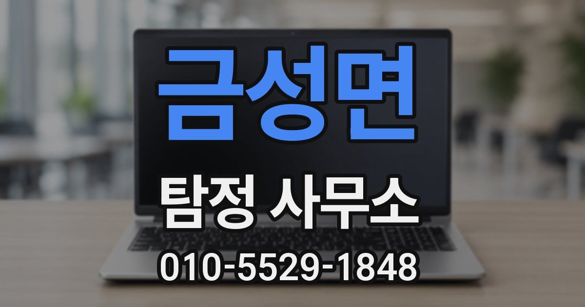 금성면 탐정 사무소