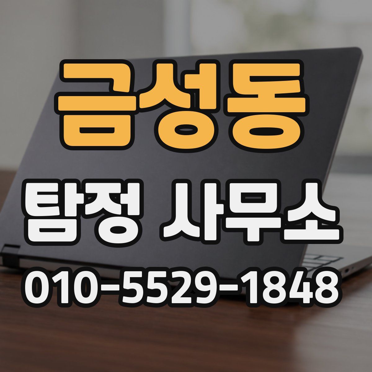 금성동 탐정 사무소