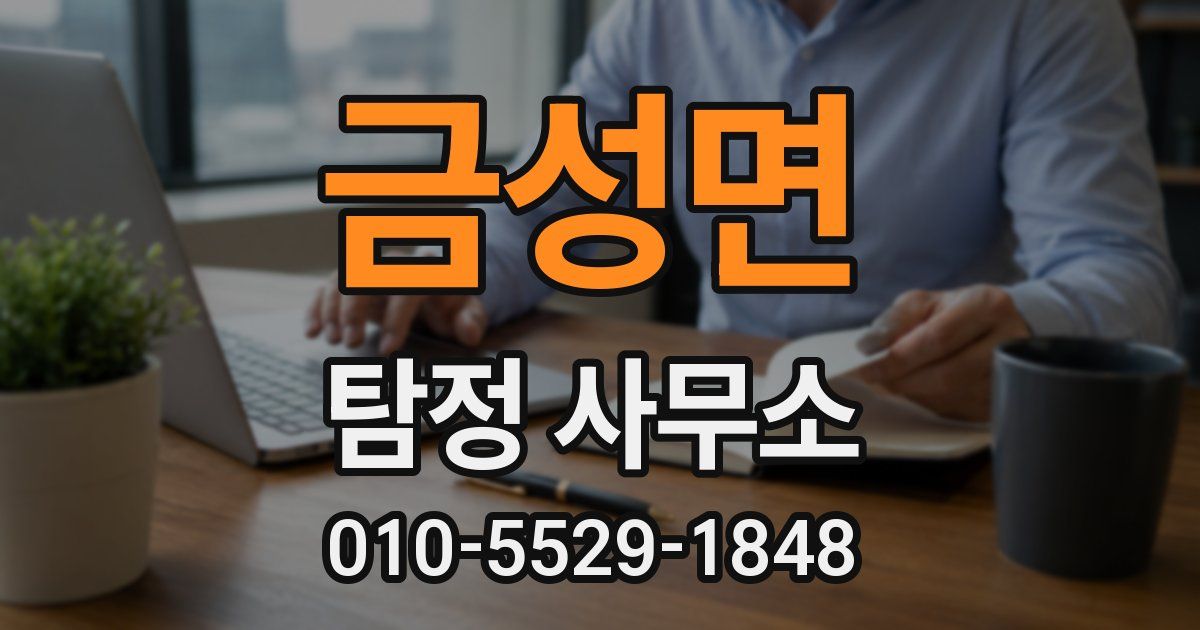 금성면 탐정 사무소