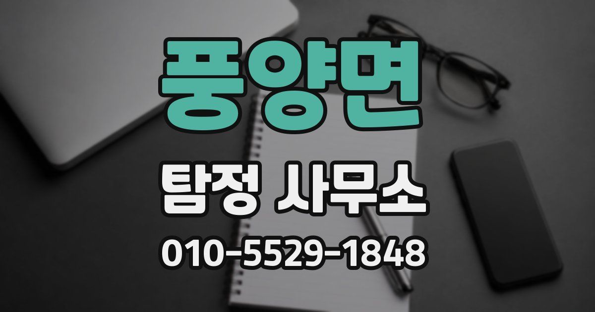 풍양면 탐정 사무소