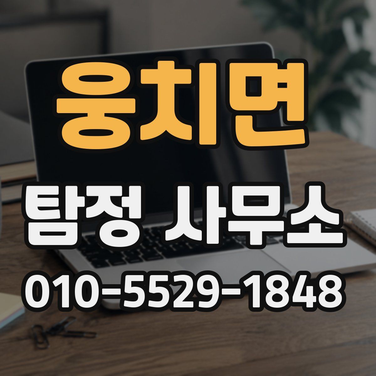 웅치면 탐정 사무소