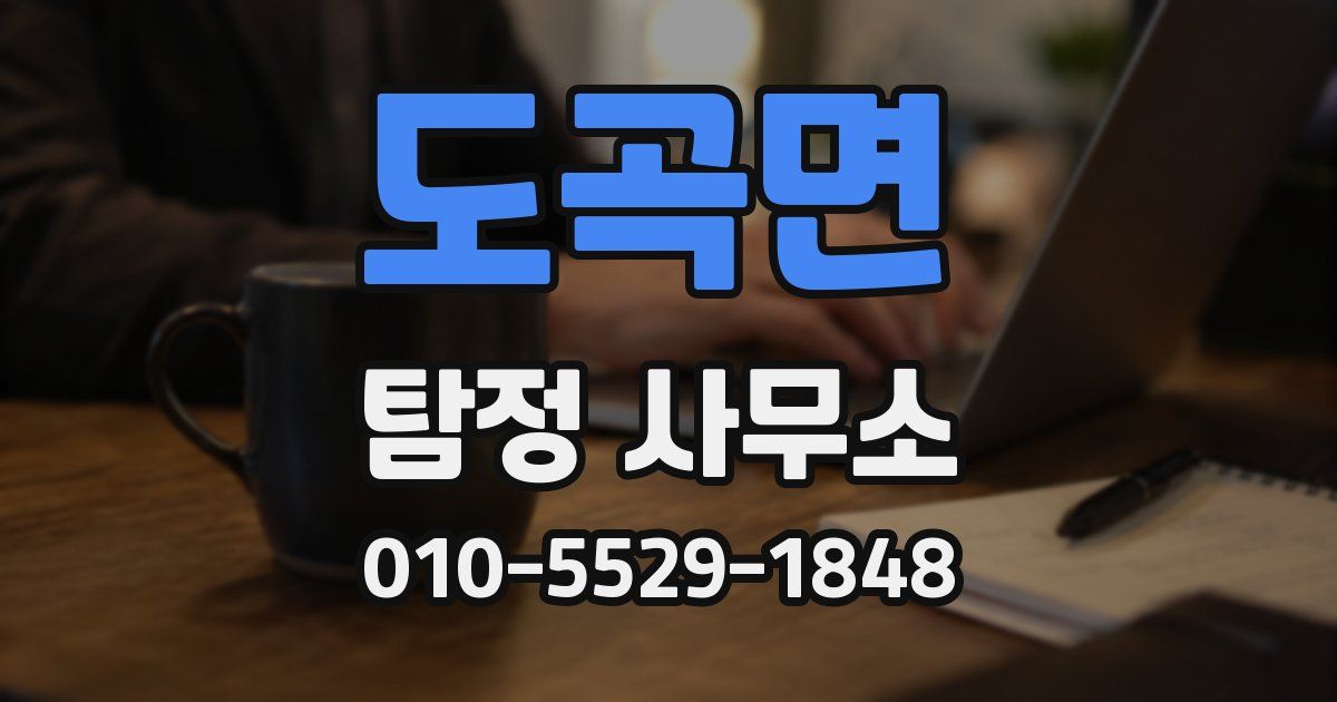 도곡면 탐정 사무소