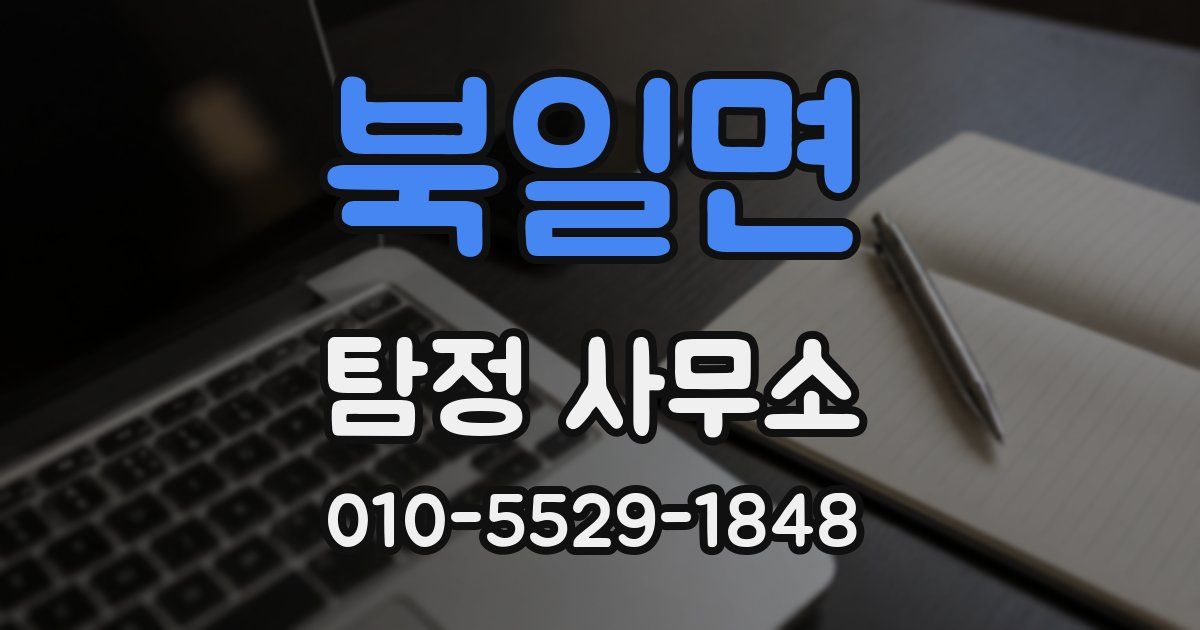 북일면 탐정 사무소