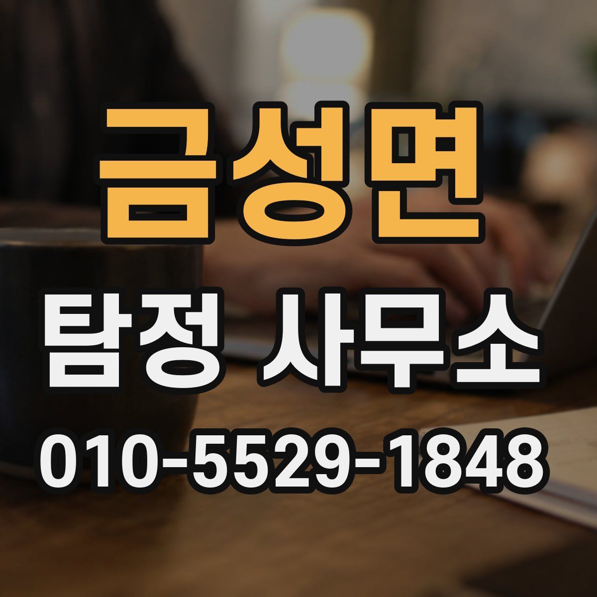 금성면 탐정 사무소