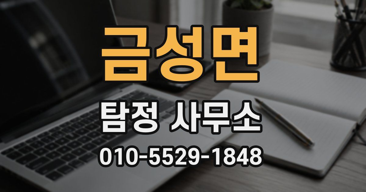금성면 탐정 사무소