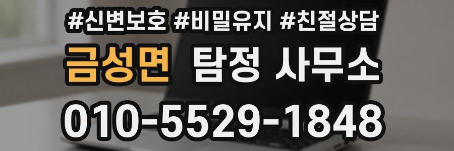 금성면 탐정 사무소
