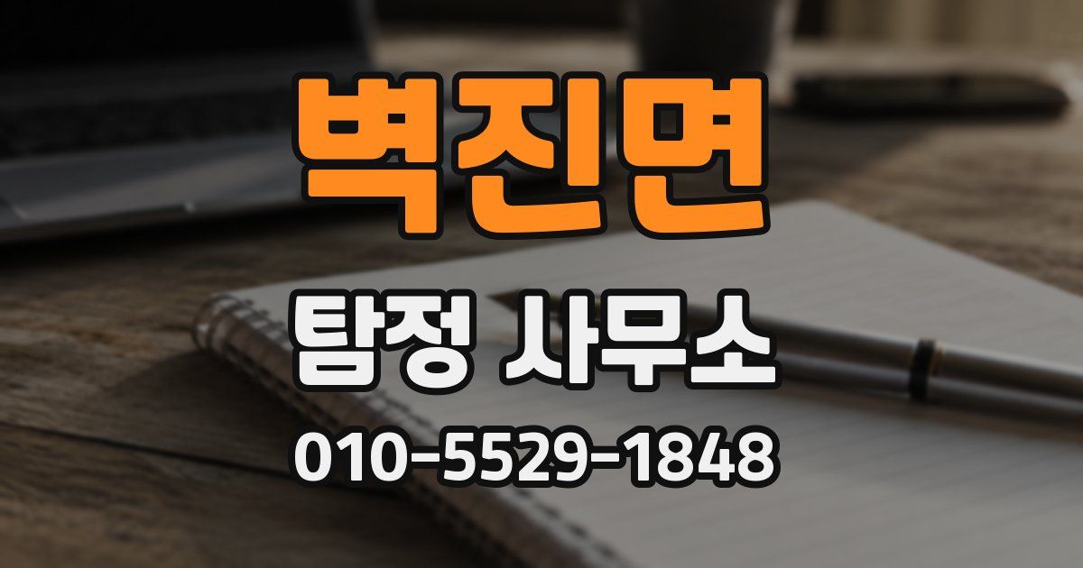 벽진면 탐정 사무소
