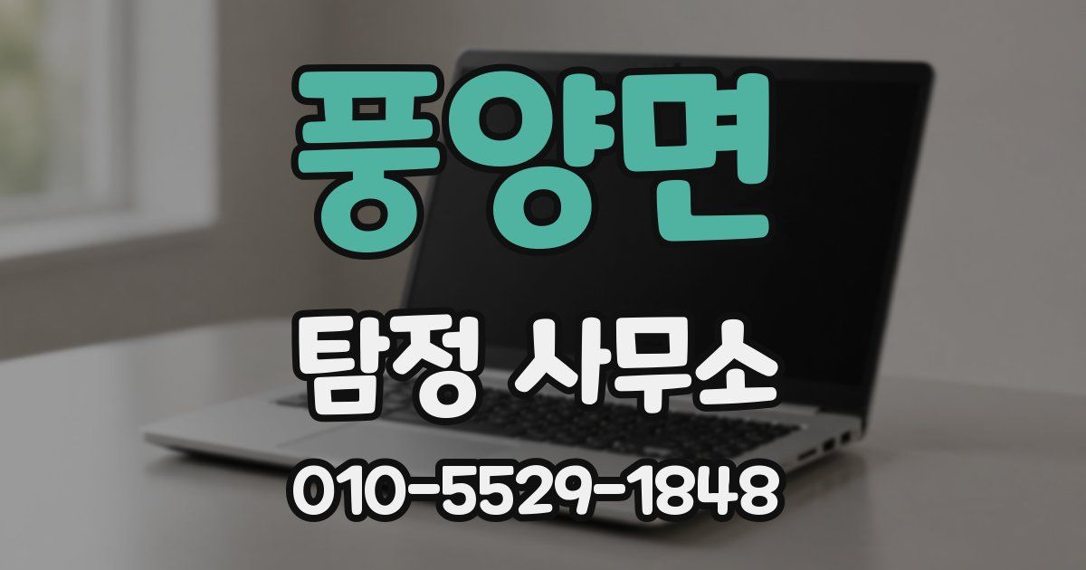 풍양면 탐정 사무소