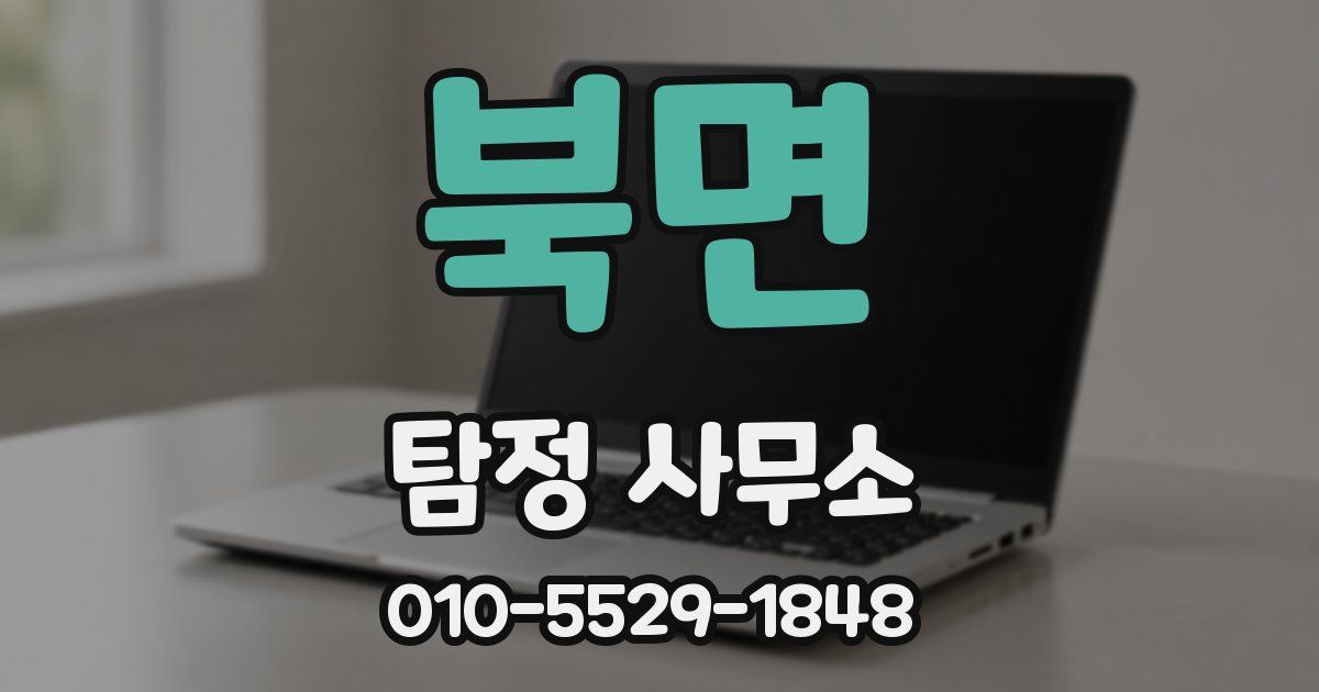 북면 탐정 사무소