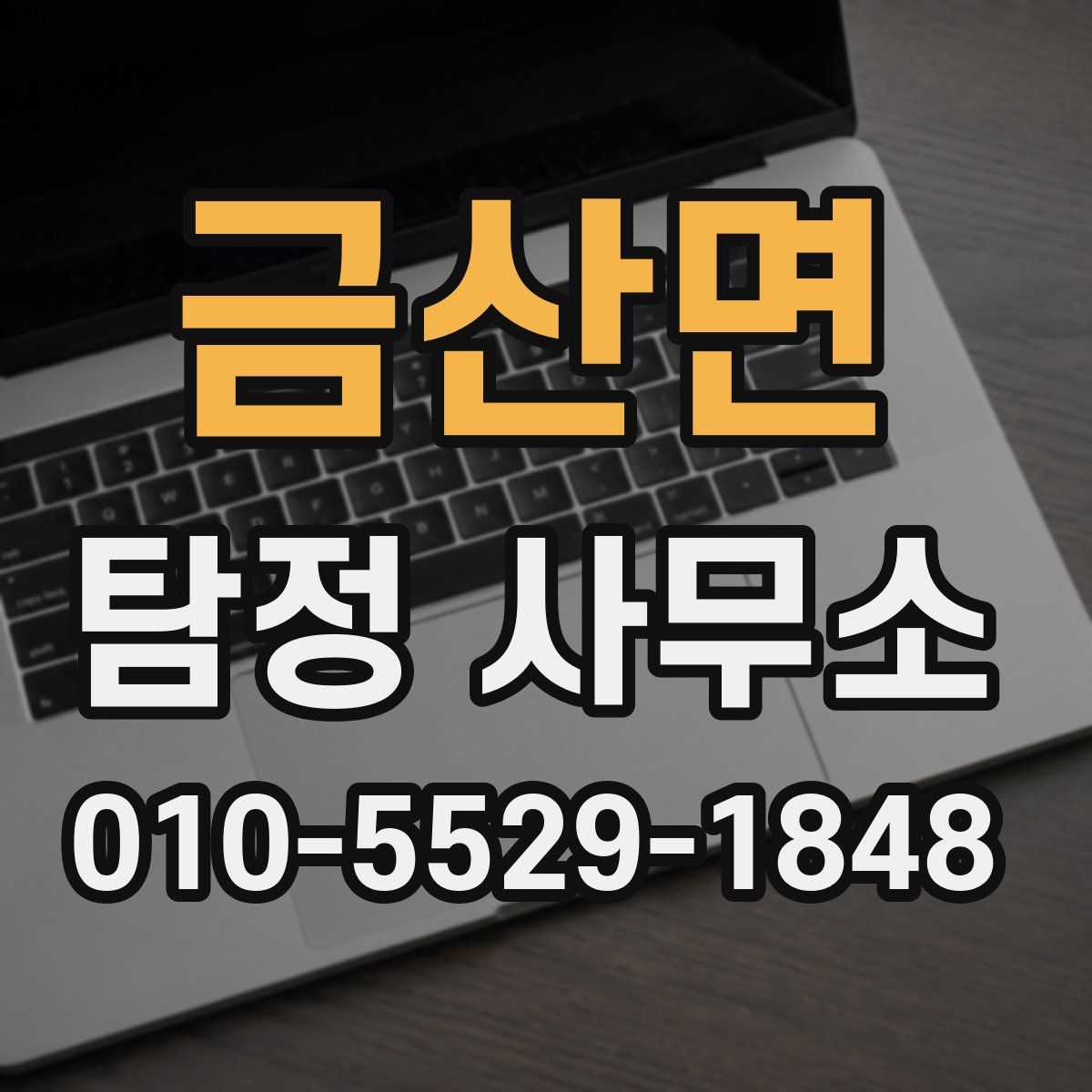 금산면 탐정 사무소