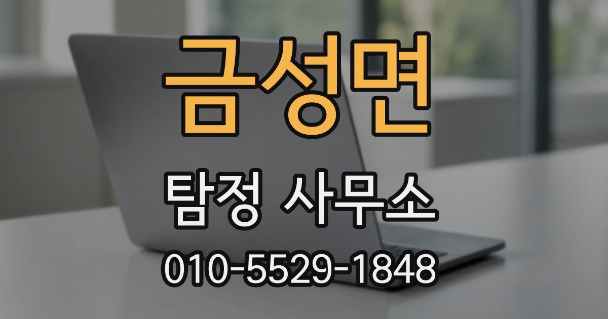 금성면 탐정 사무소