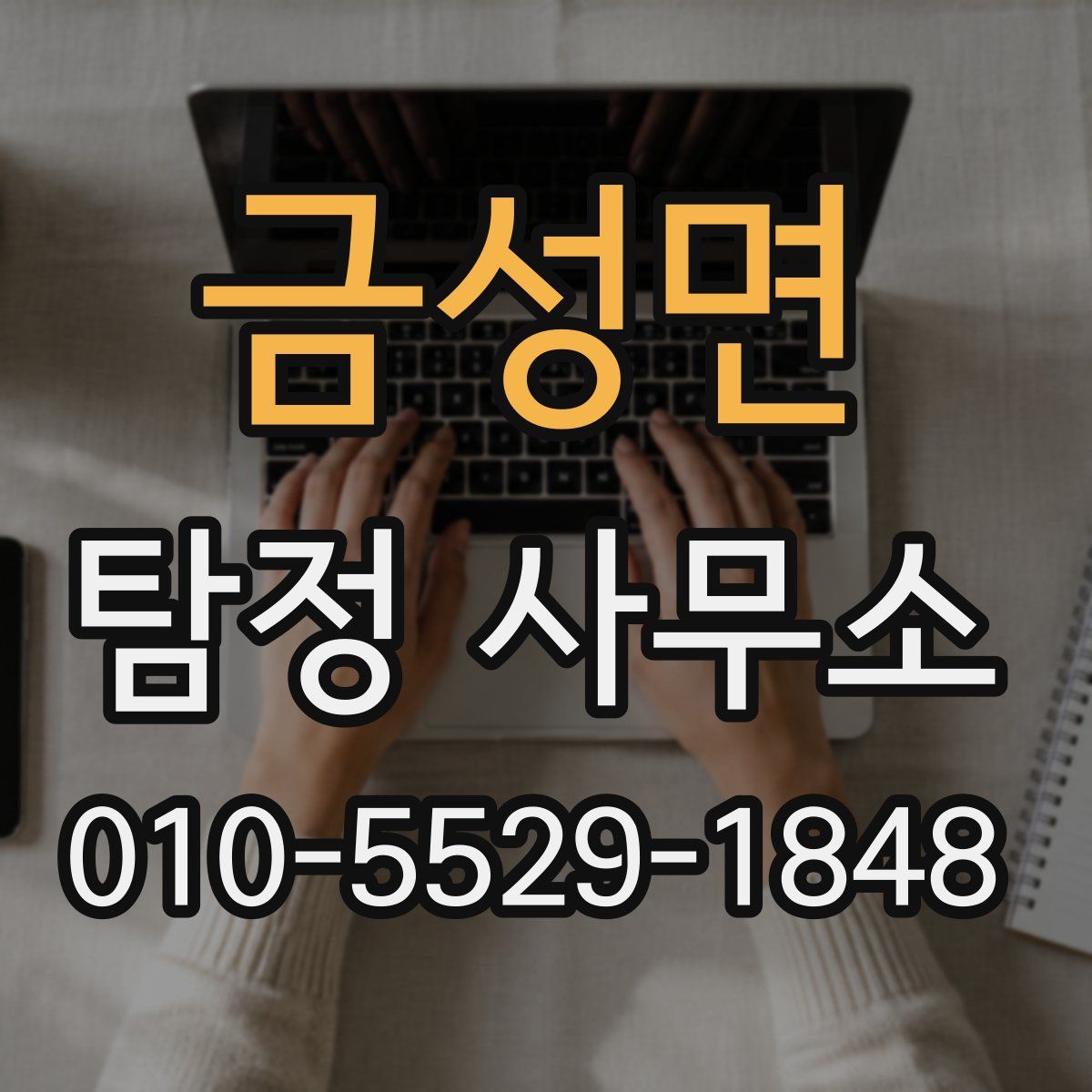 금성면 탐정 사무소