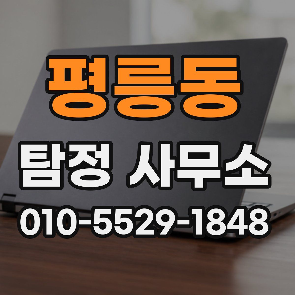 평릉동 탐정 사무소