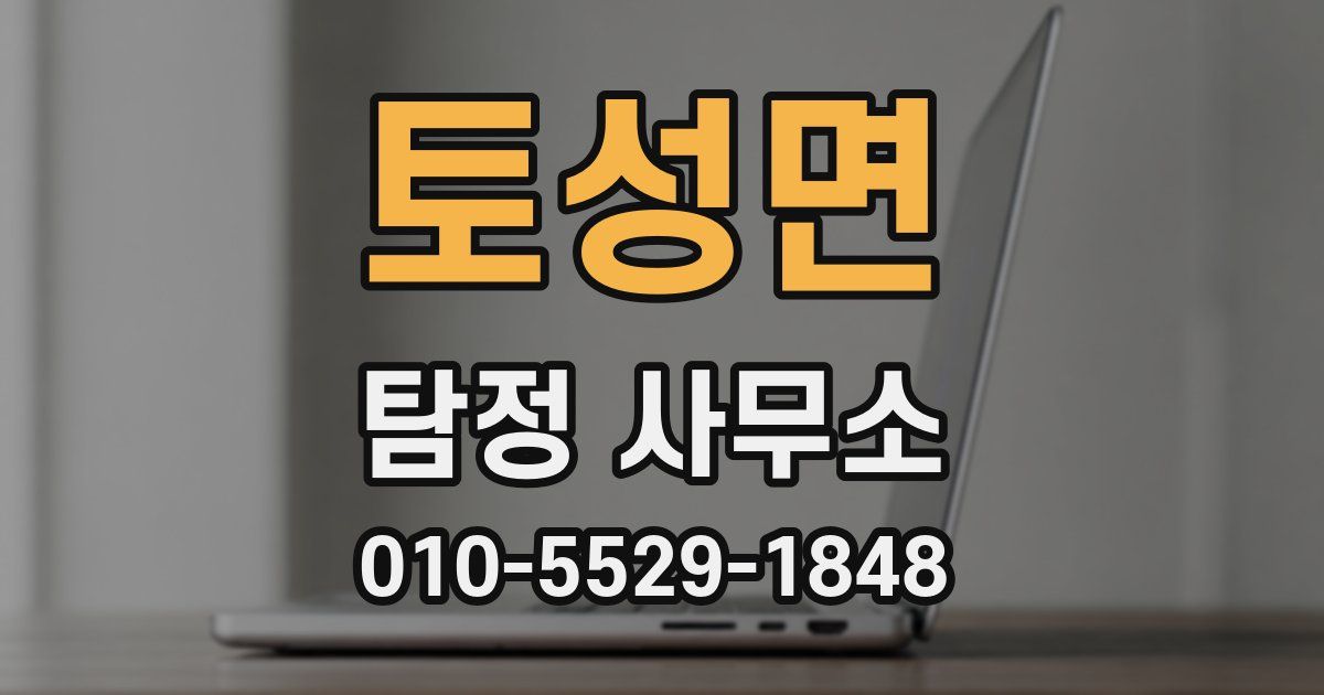 토성면 탐정 사무소