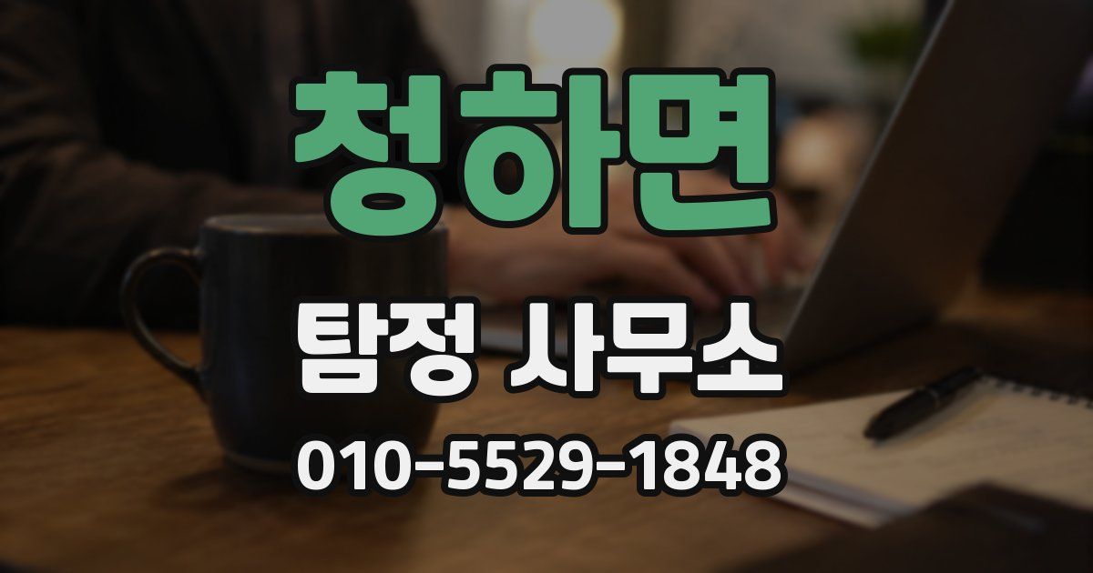청하면 탐정 사무소