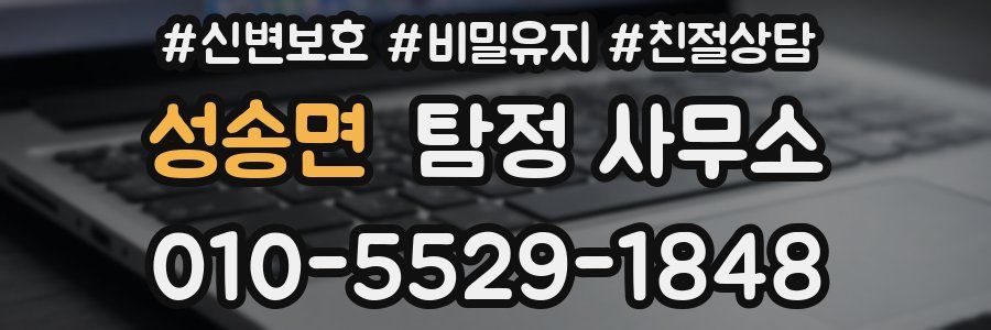 성송면 탐정 사무소