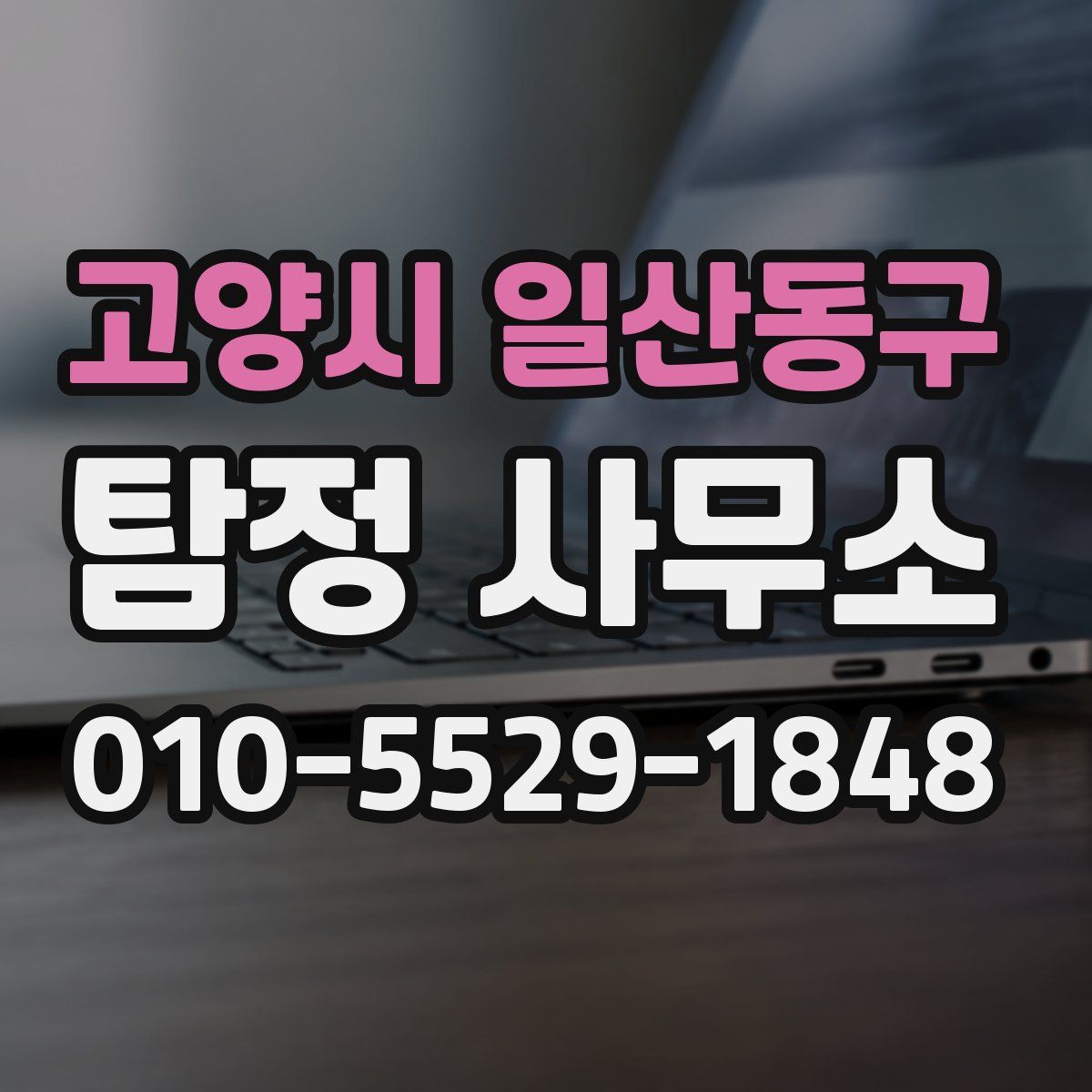 고양시 일산동구 탐정 사무소