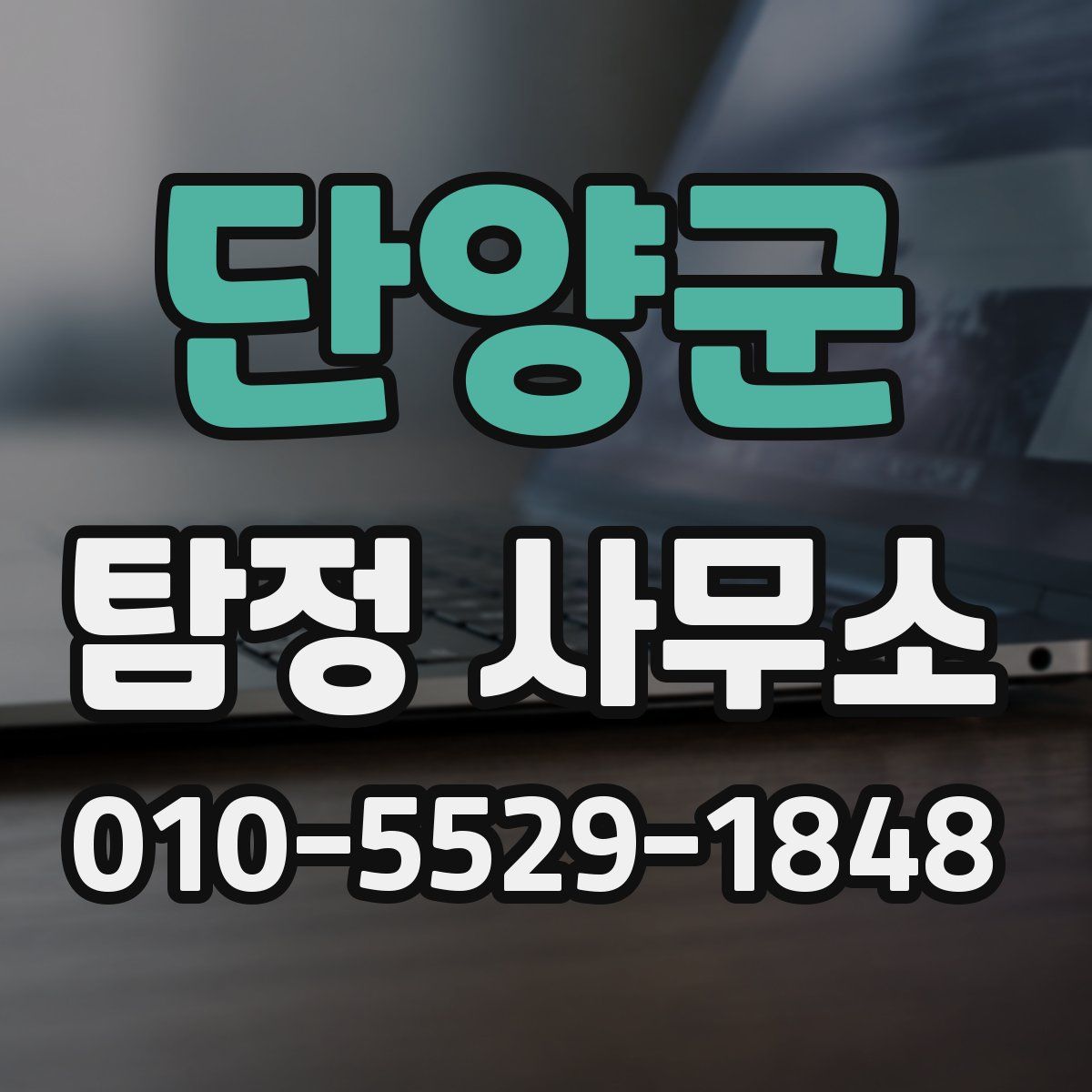 단양군 탐정 사무소