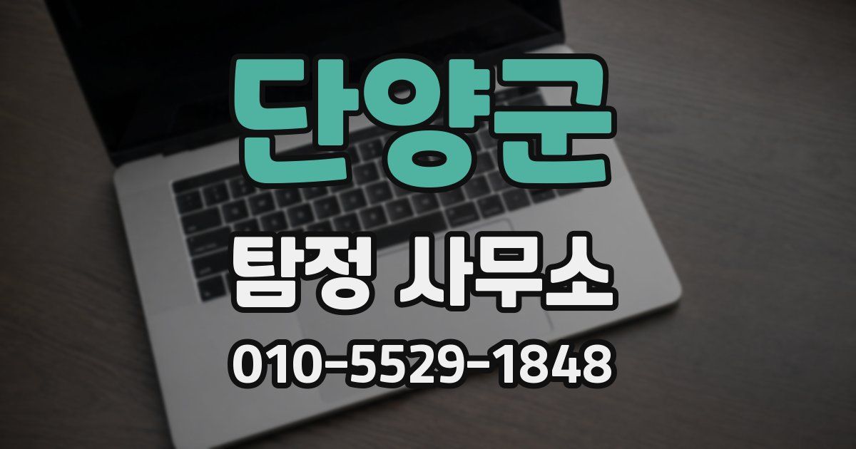 단양군 탐정 사무소