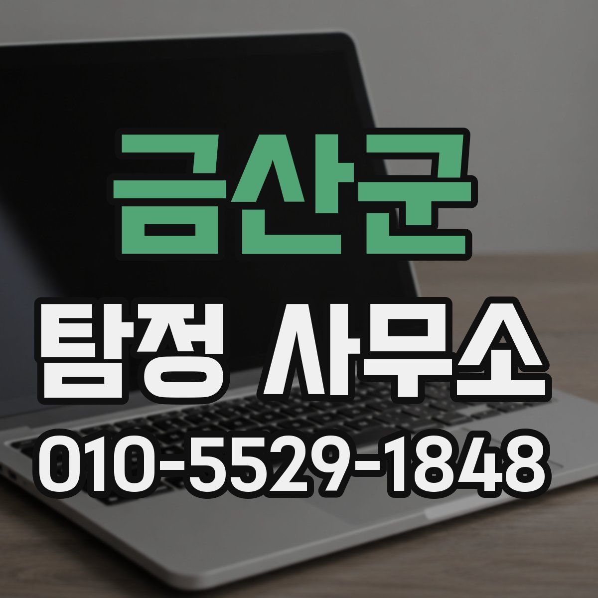 금산군 탐정 사무소