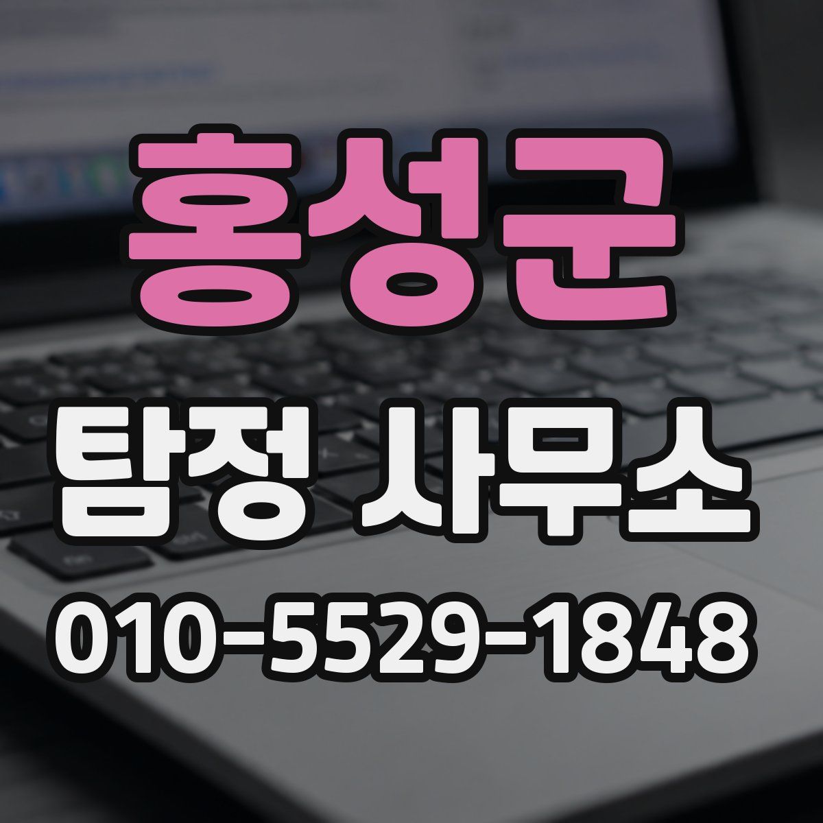 홍성군 탐정 사무소