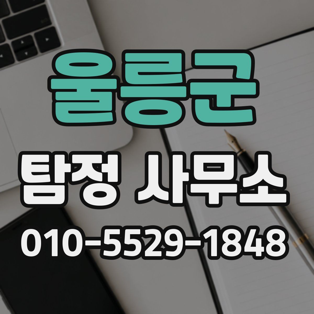 울릉군 탐정 사무소