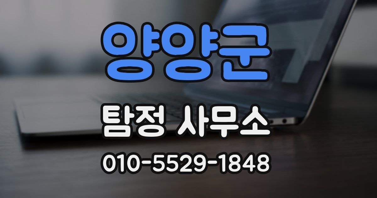 양양군 탐정 사무소