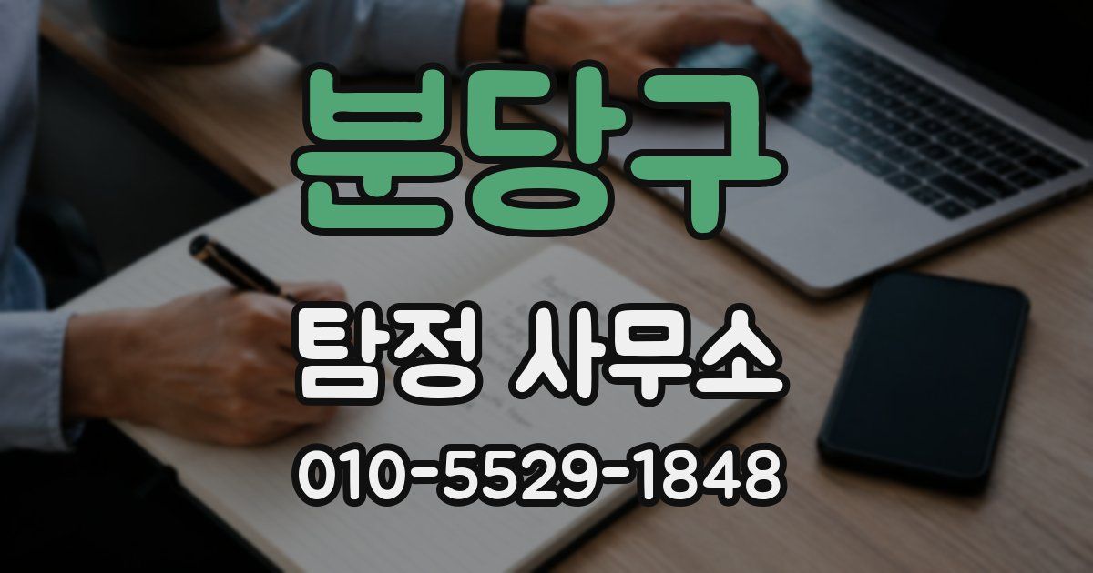 분당구 탐정 사무소