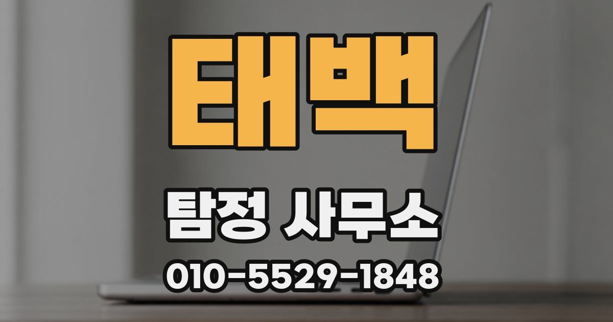 태백 탐정 사무소