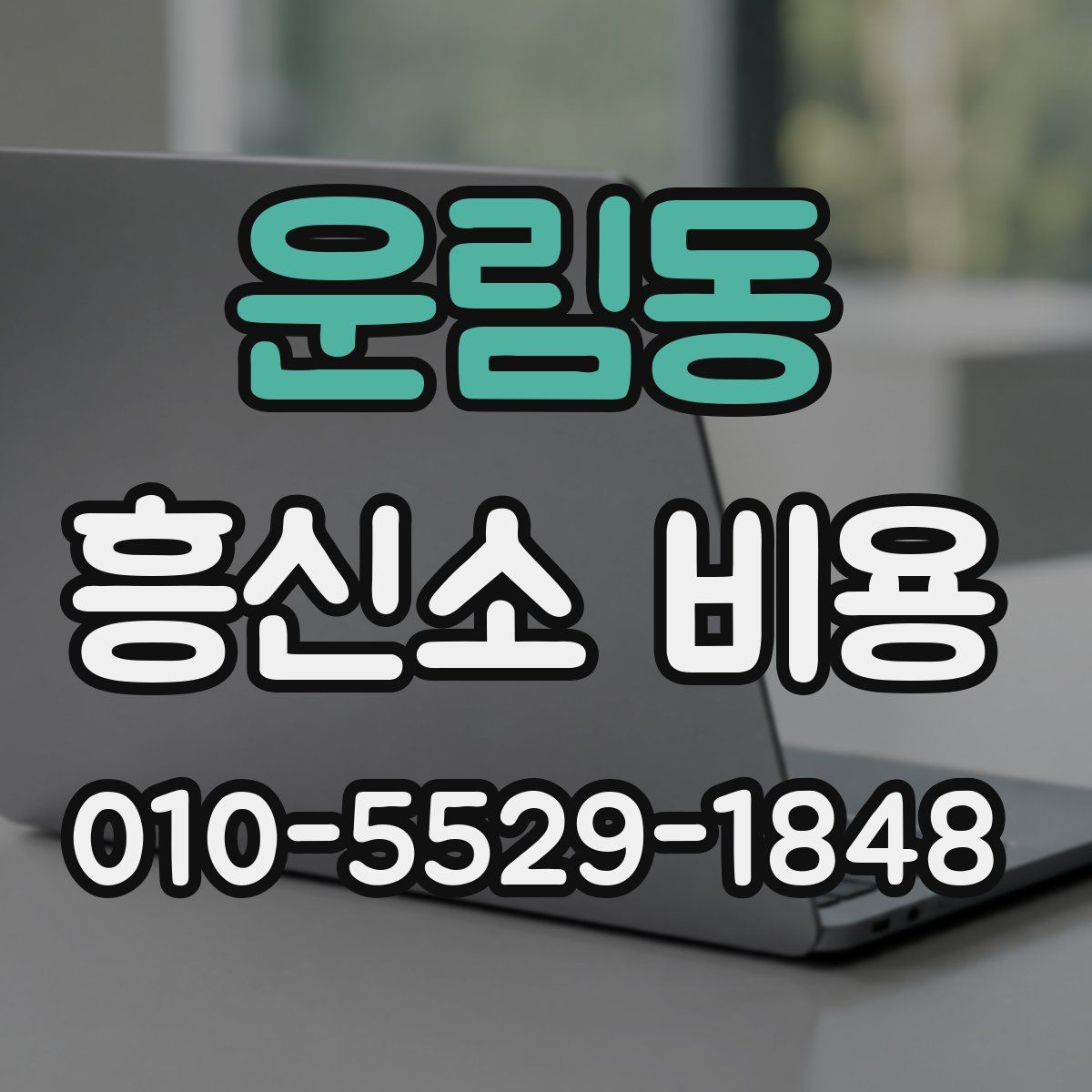 운림동 흥신소 비용