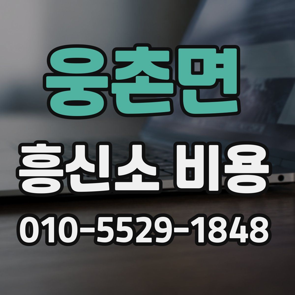 웅촌면 흥신소 비용