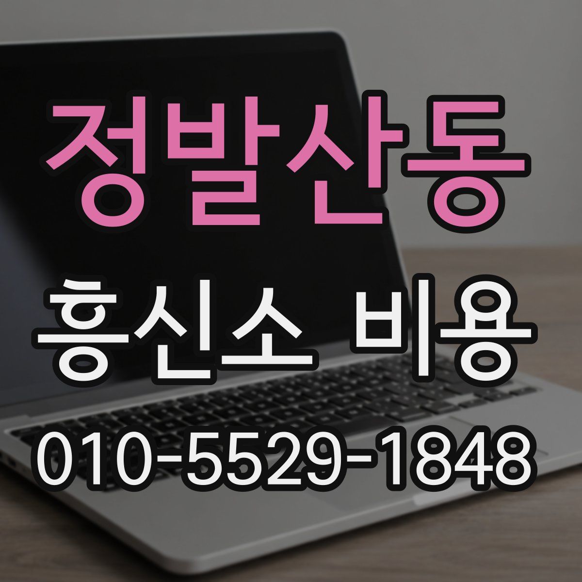 정발산동 흥신소 비용