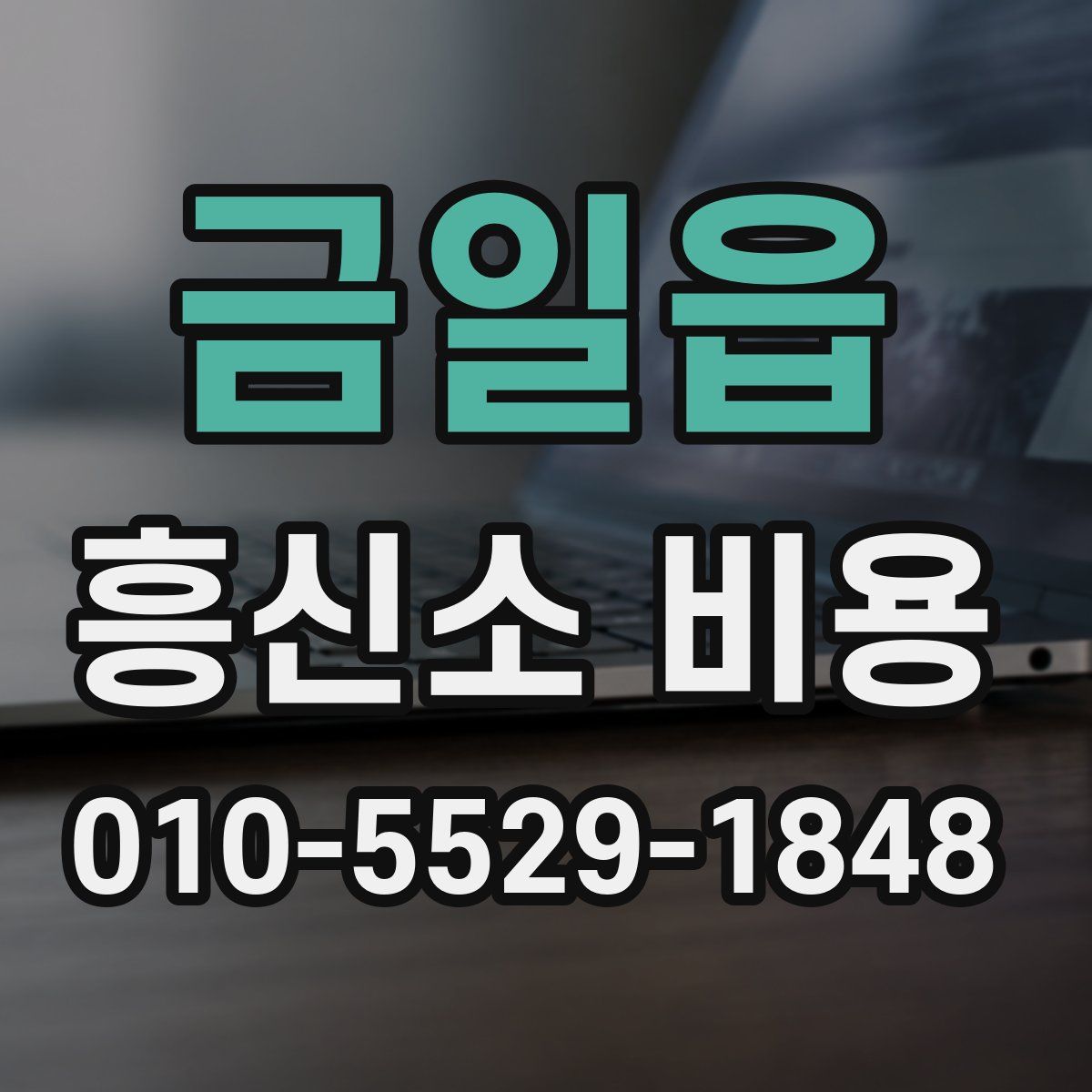 금일읍 흥신소 비용