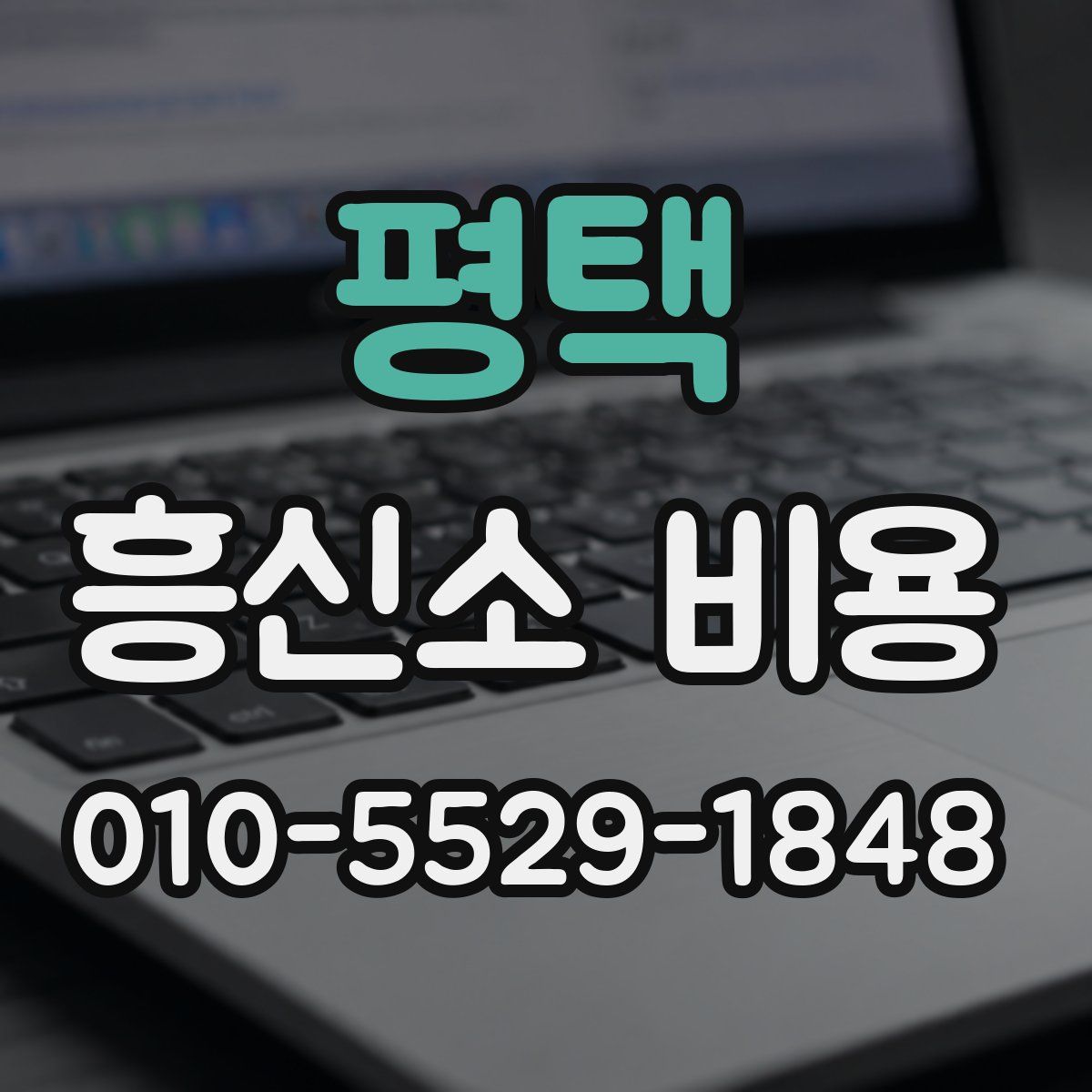 평택 흥신소 비용