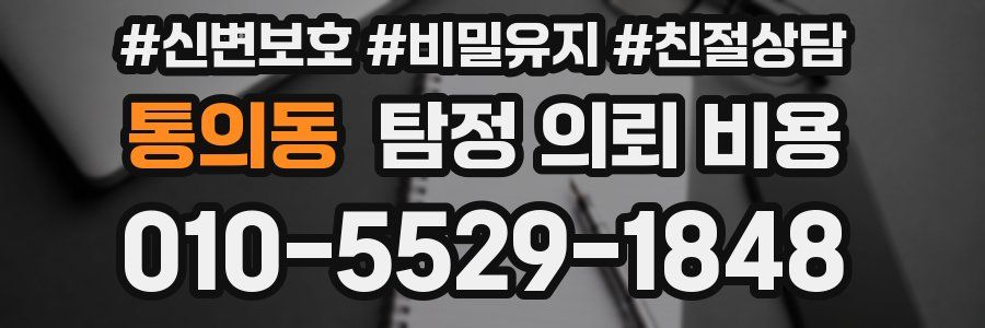 통의동 탐정 의뢰 비용