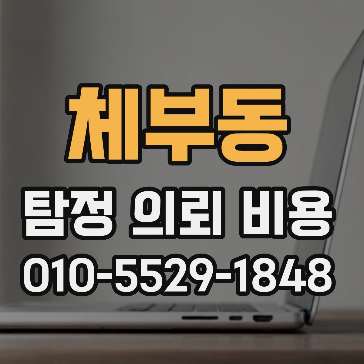 체부동 탐정 의뢰 비용