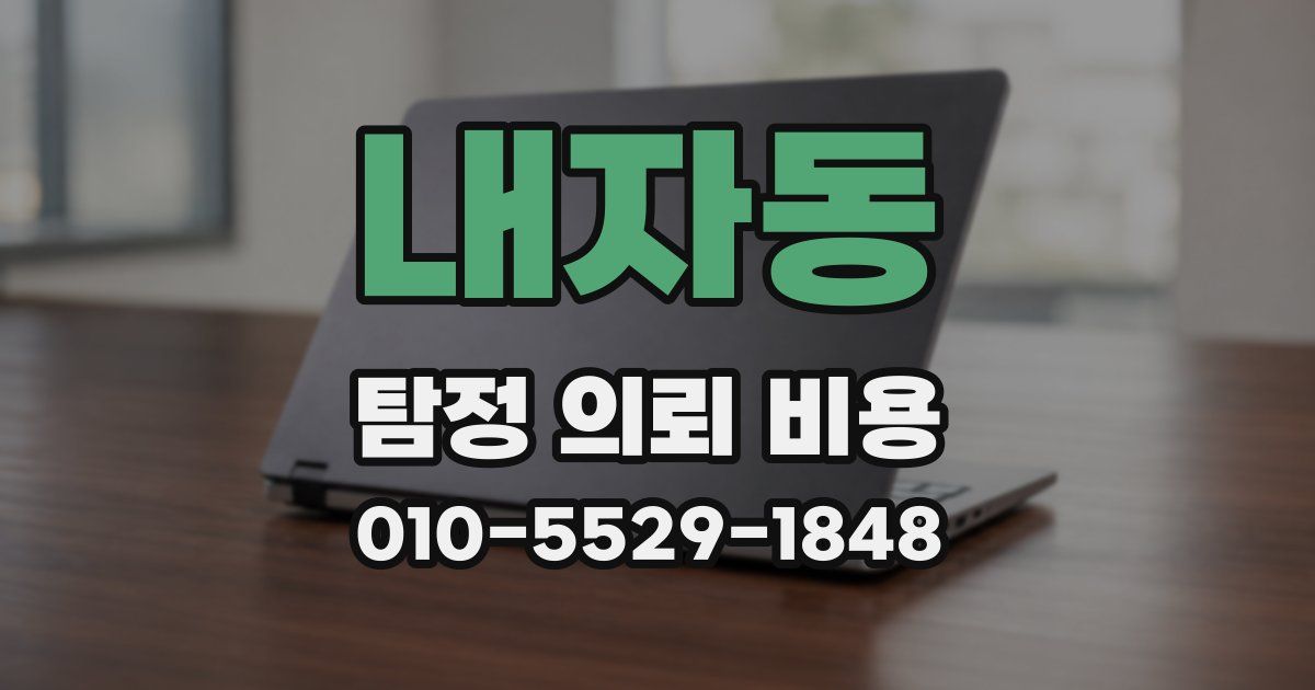 내자동 탐정 의뢰 비용
