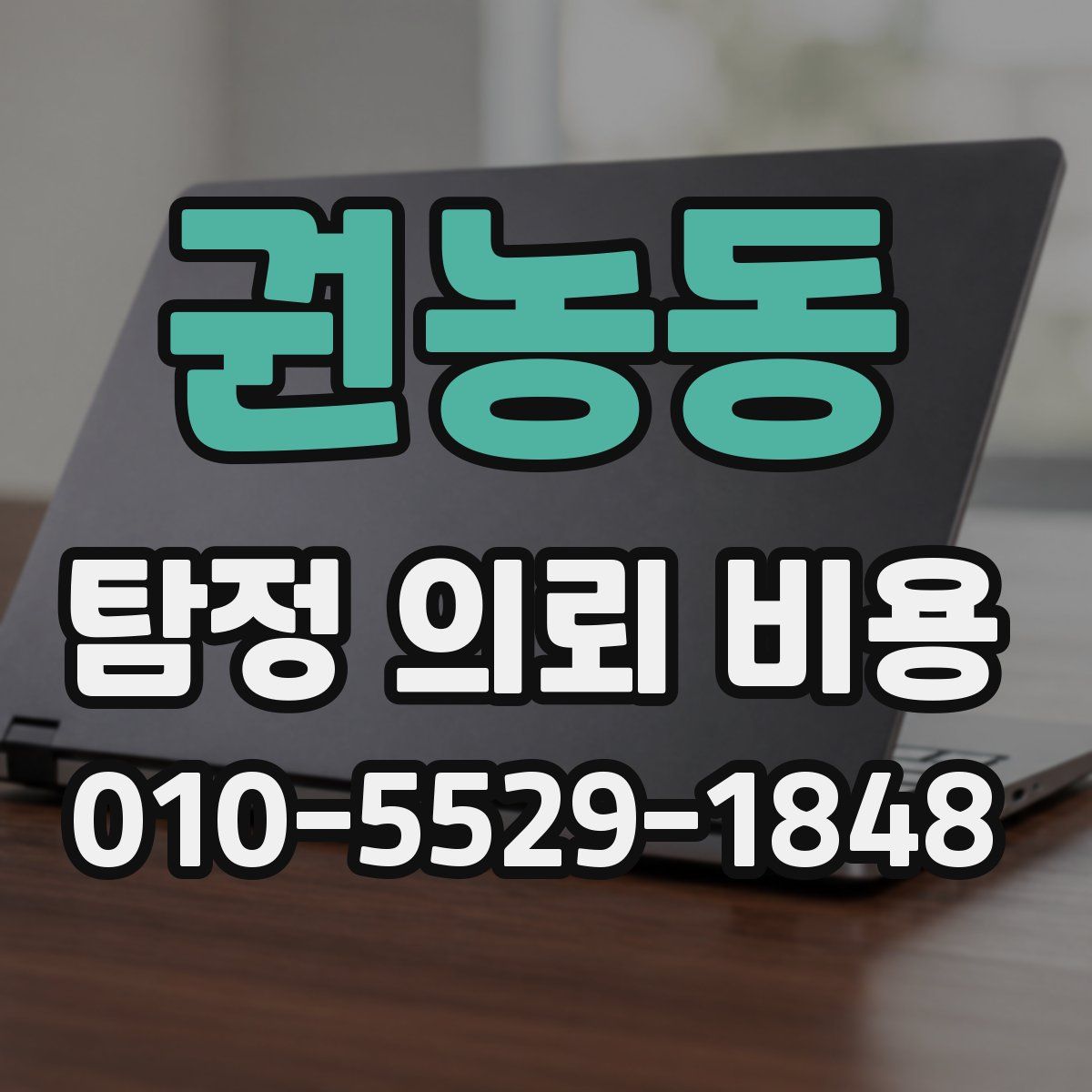 권농동 탐정 의뢰 비용