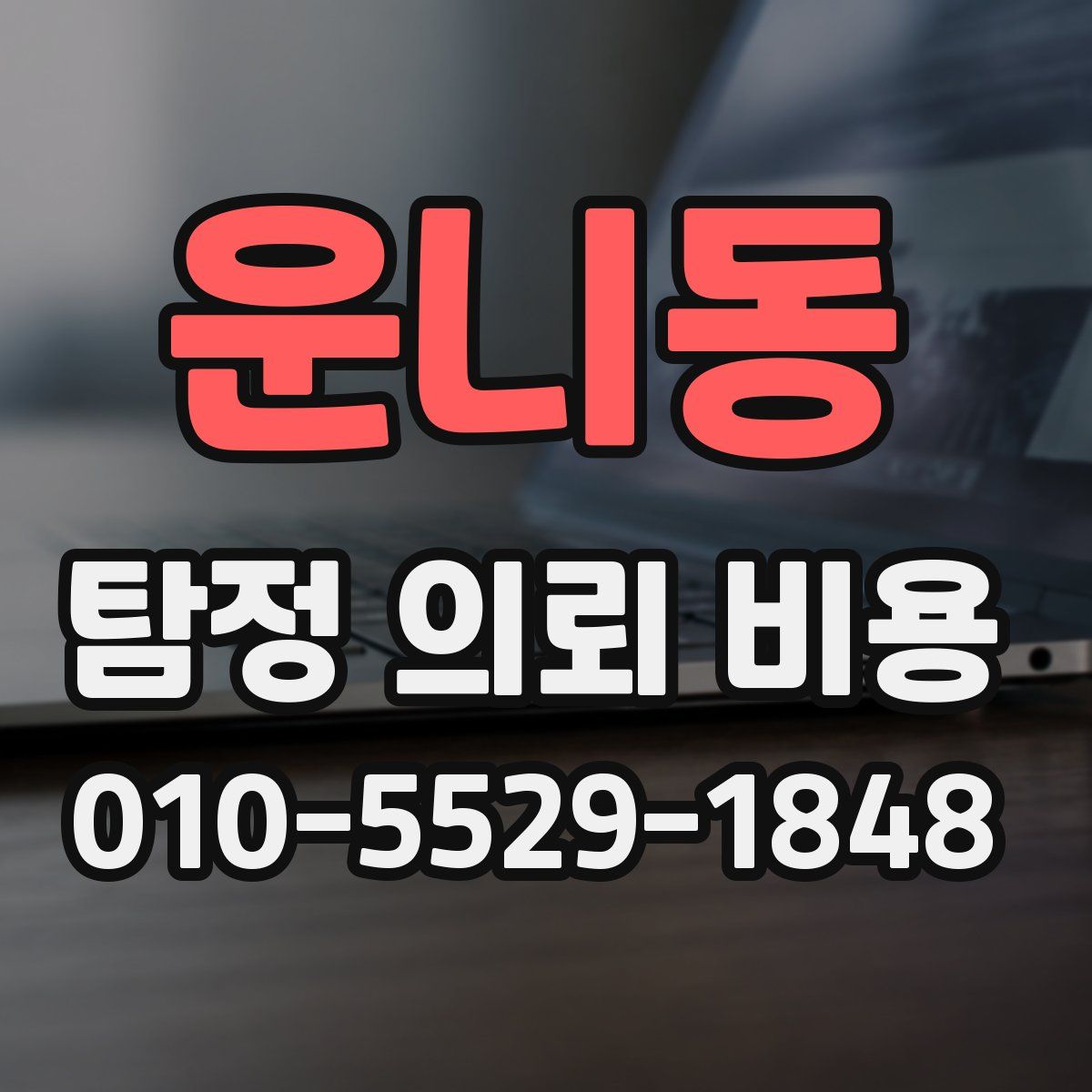 운니동 탐정 의뢰 비용